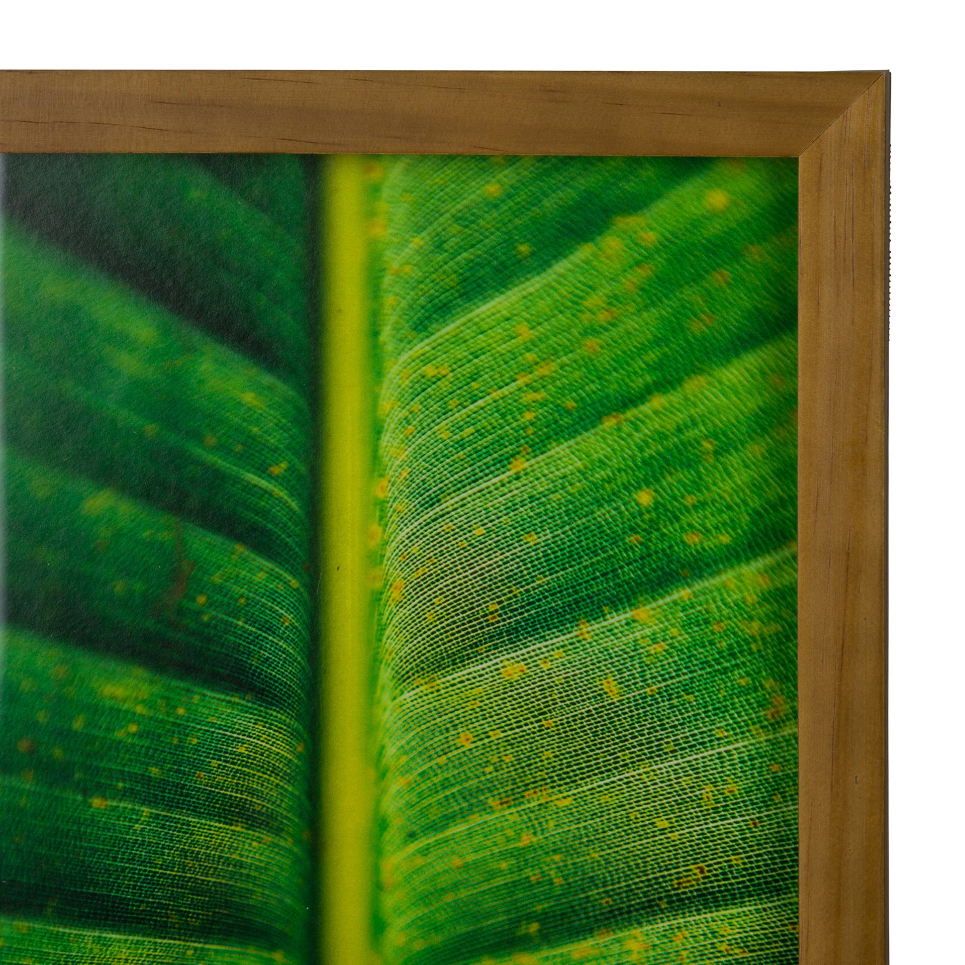 INTERIOR-QUADRO-20-CM-X-30-CM-AM-NDOA-MULTICOR-FOLHA-INTERIOR_ST2