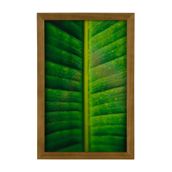 INTERIOR-QUADRO-20-CM-X-30-CM-AM-NDOA-MULTICOR-FOLHA-INTERIOR_ST0
