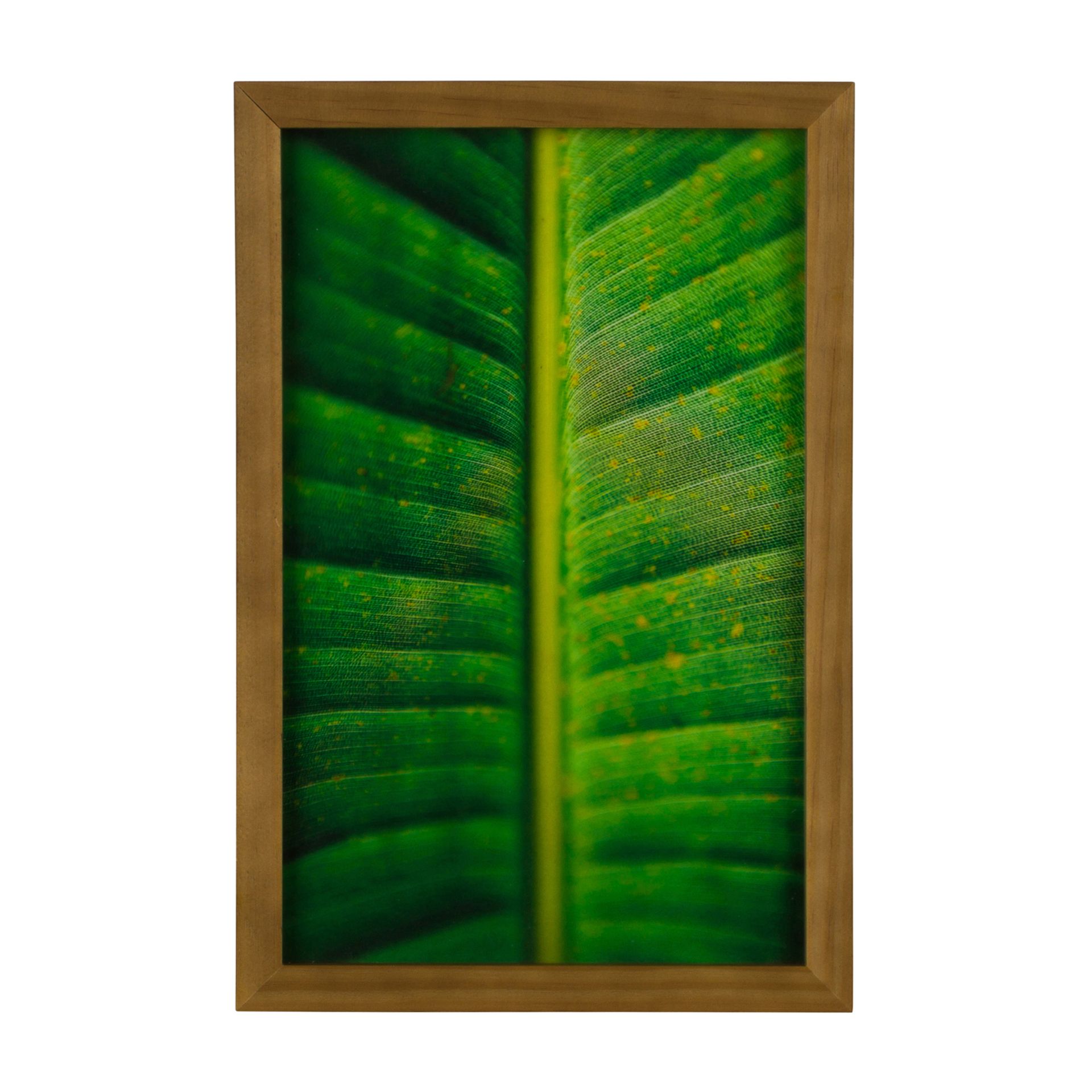 INTERIOR-QUADRO-20-CM-X-30-CM-AM-NDOA-MULTICOR-FOLHA-INTERIOR_ST0