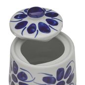 SIAO-I-ACUCAREIRO-BRANCO-AZUL-MONTE-SI-O_ST4