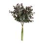 EUCALIPTO-BOUQUET-VERDE-FIORI_ST0