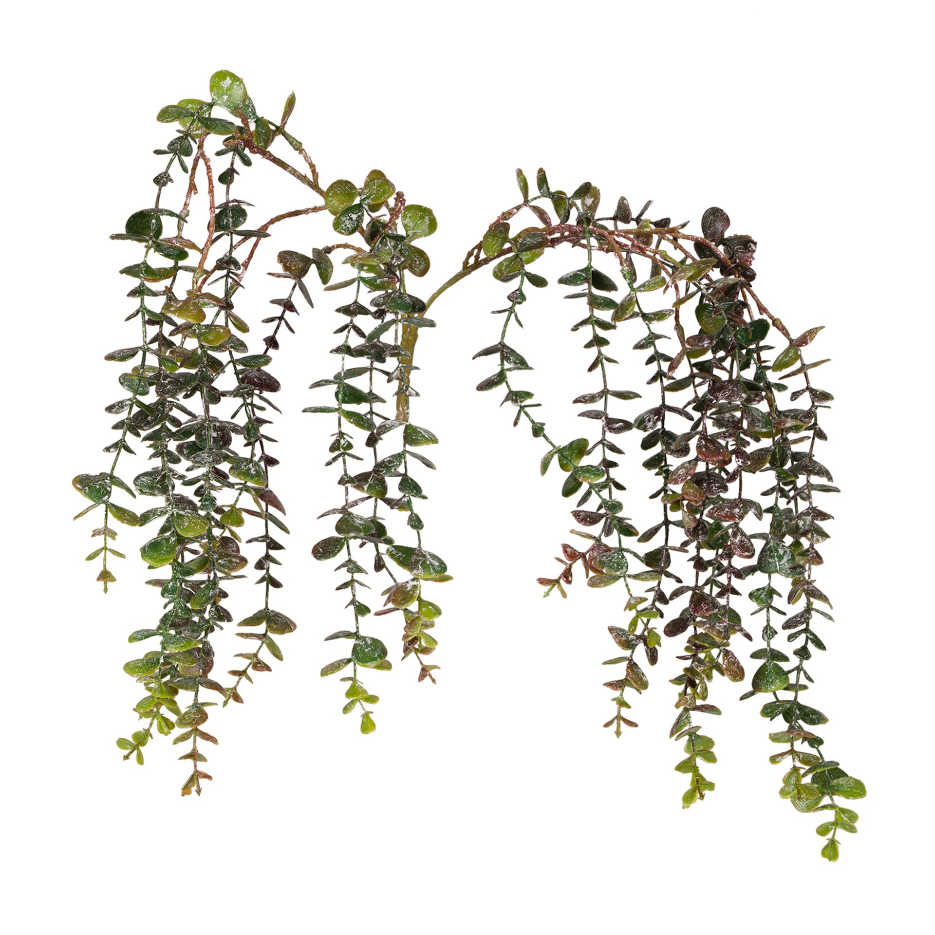 EUCALIPTO-FOLHAGEM-VERDE-CHIANTI_ST1