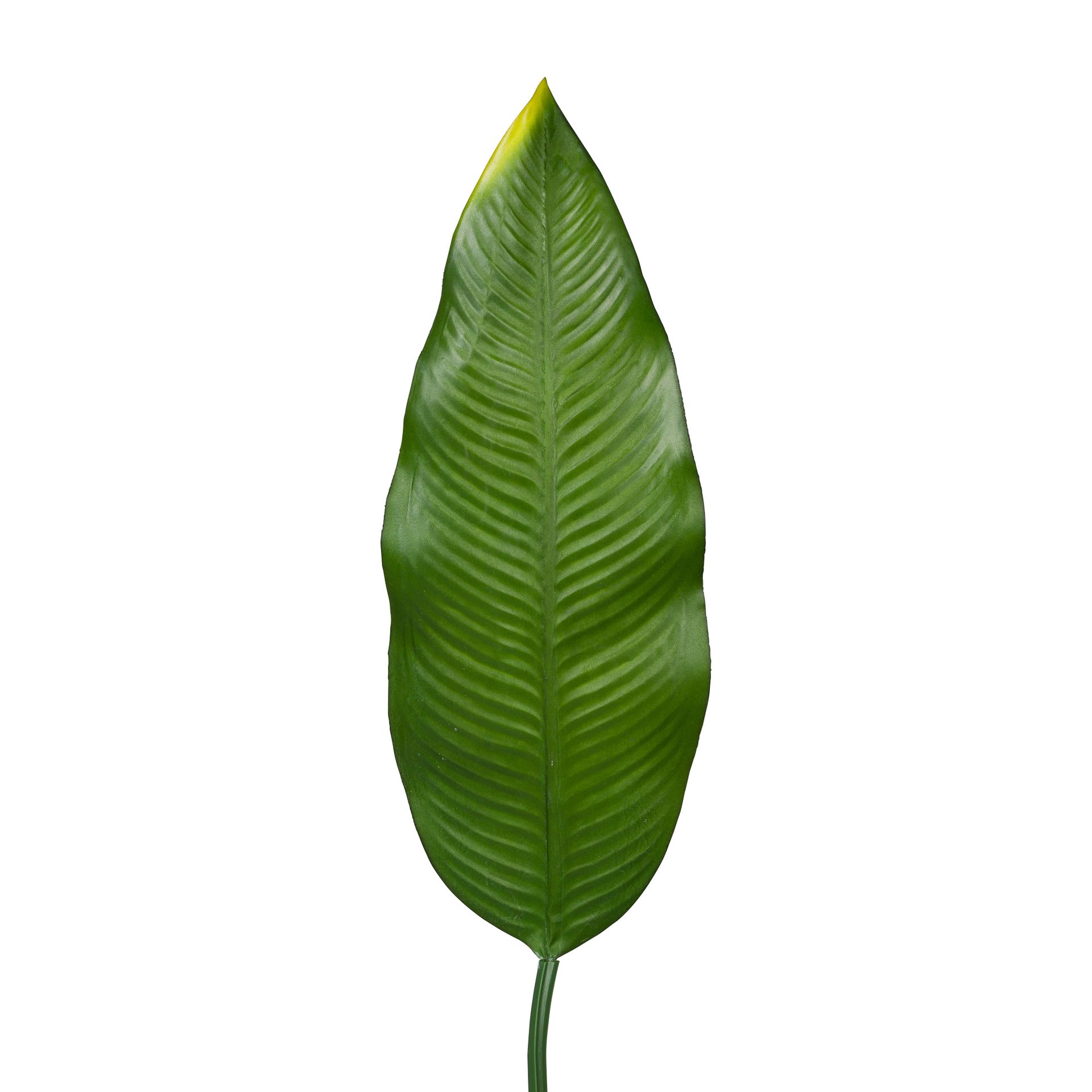 FOLHAGEM-VERDE-ESTREL-CIA_ST1