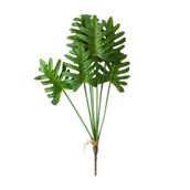 FOLHAGEM-VERDE-FILLO_ST0