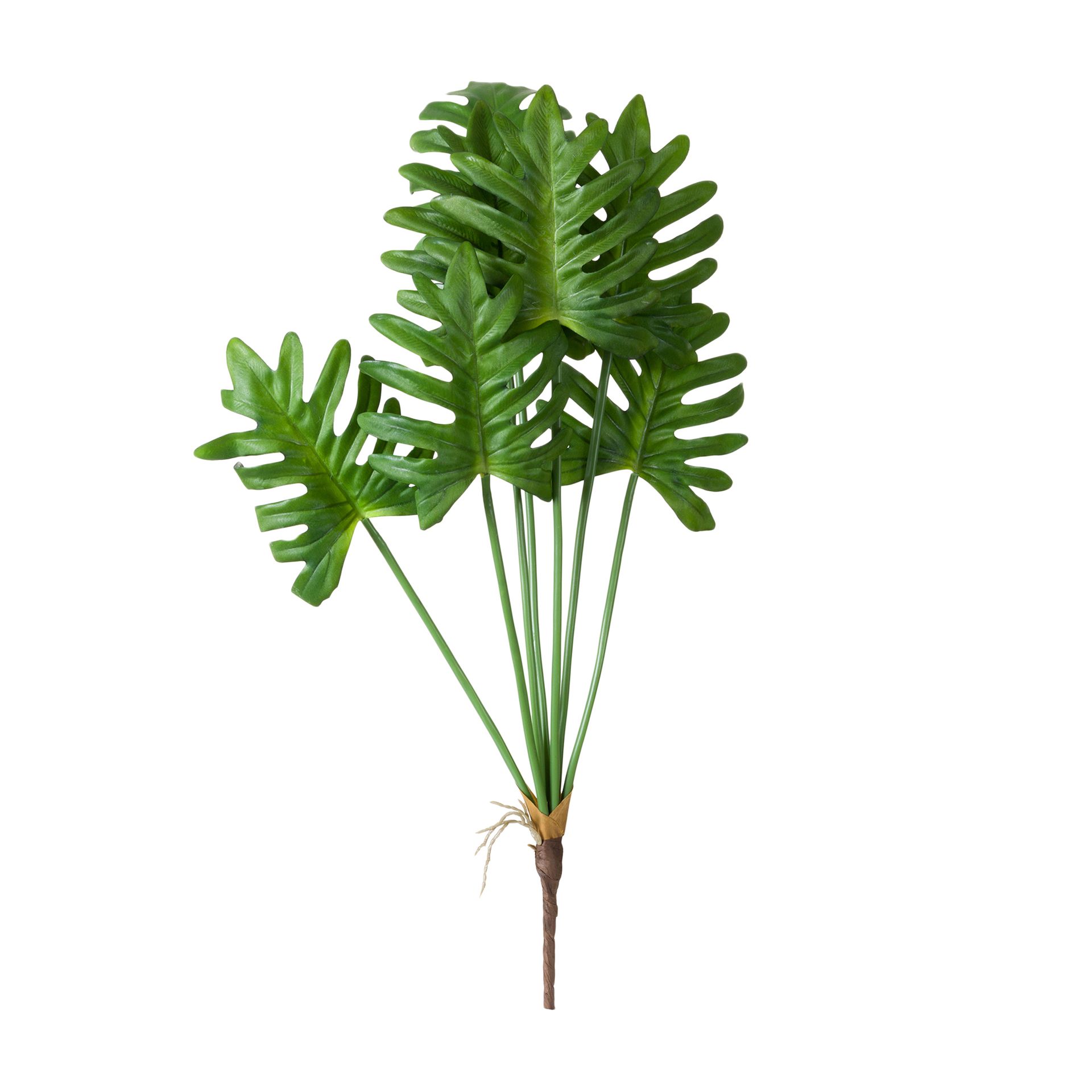 FOLHAGEM-VERDE-FILLO_ST0