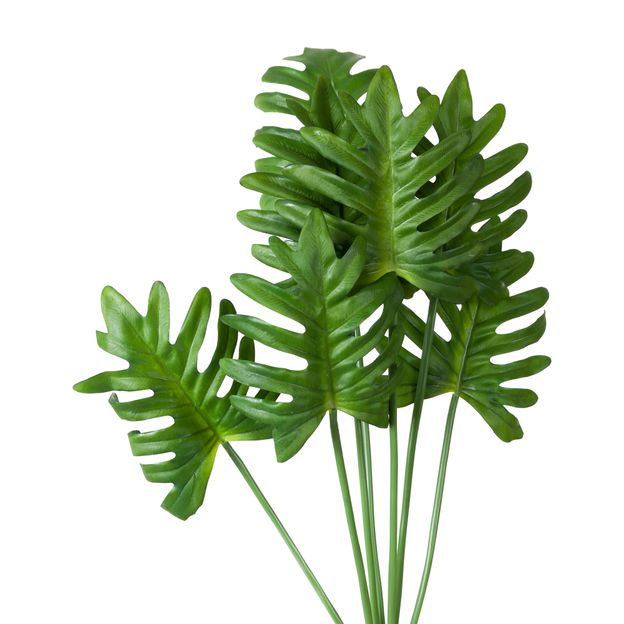 FOLHAGEM-VERDE-FILLO_ST1