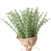 BOUQUET-VERDE-BEGE-BRANDO_ST1