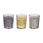 KIT-VELA-PERFUMADA-POTE-C-3-MULTICOR-NATURALS_ST0