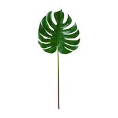 DE-ADAO-FOLHAGEM-VERDE-COSTELA-DE-AD-O_ST0