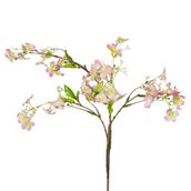 FLOR-ROSA-VERDE-SPELLO_ST1