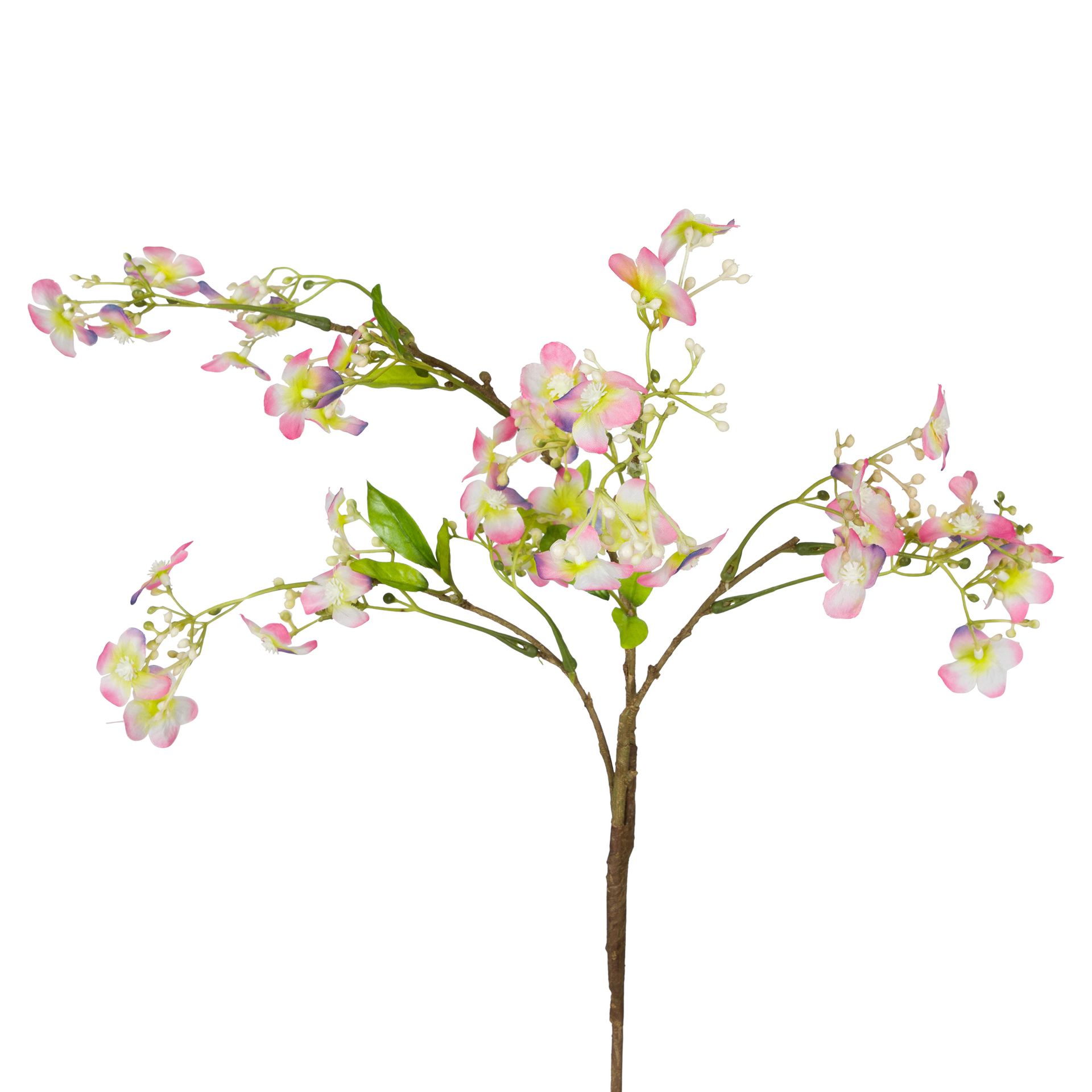 FLOR-ROSA-VERDE-SPELLO_ST1
