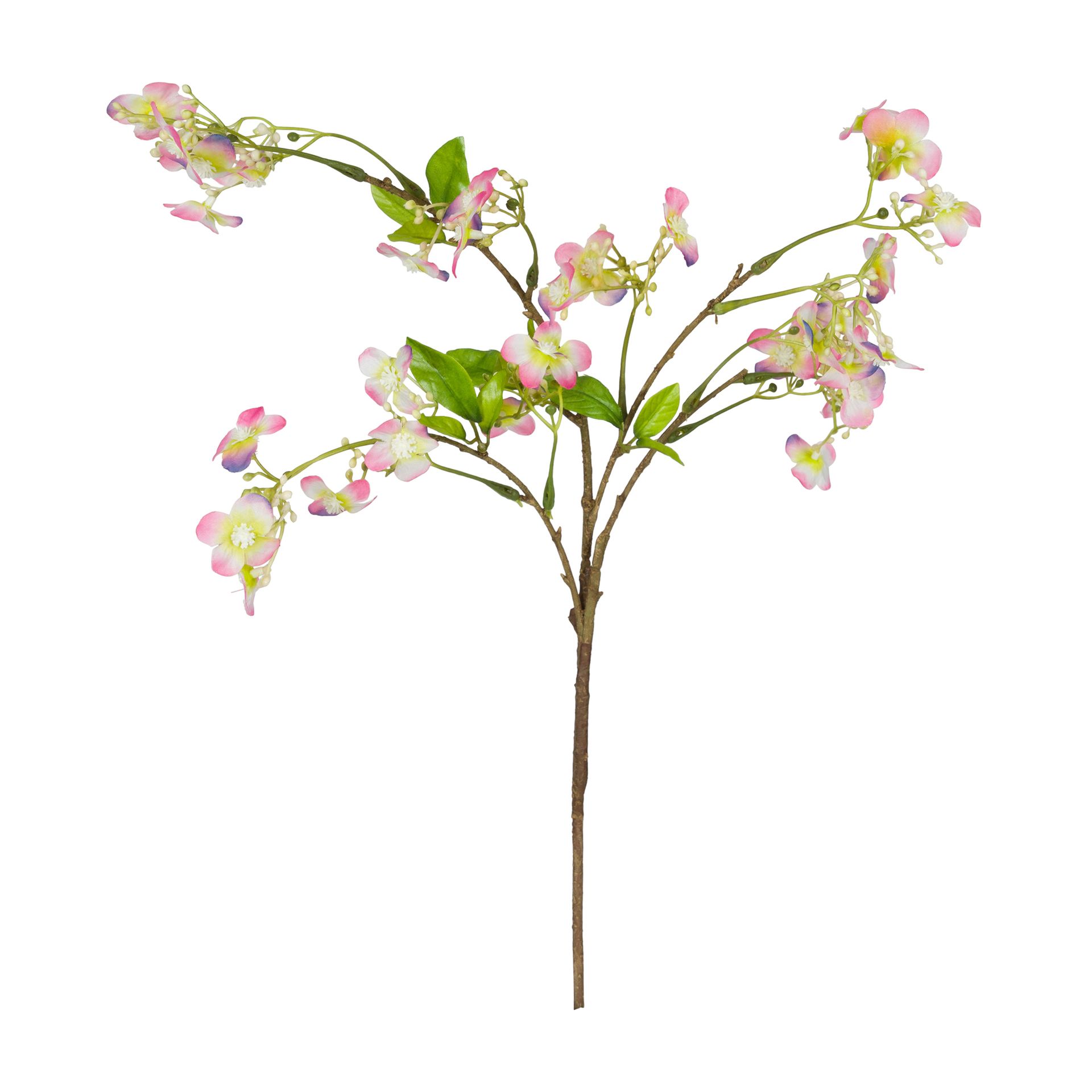 FLOR-ROSA-VERDE-SPELLO_ST0
