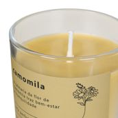 VELA-PERFUMADA-POTE-CAMOMILA-LATTE-PINUS-NATURAL-NATURALS_ST3