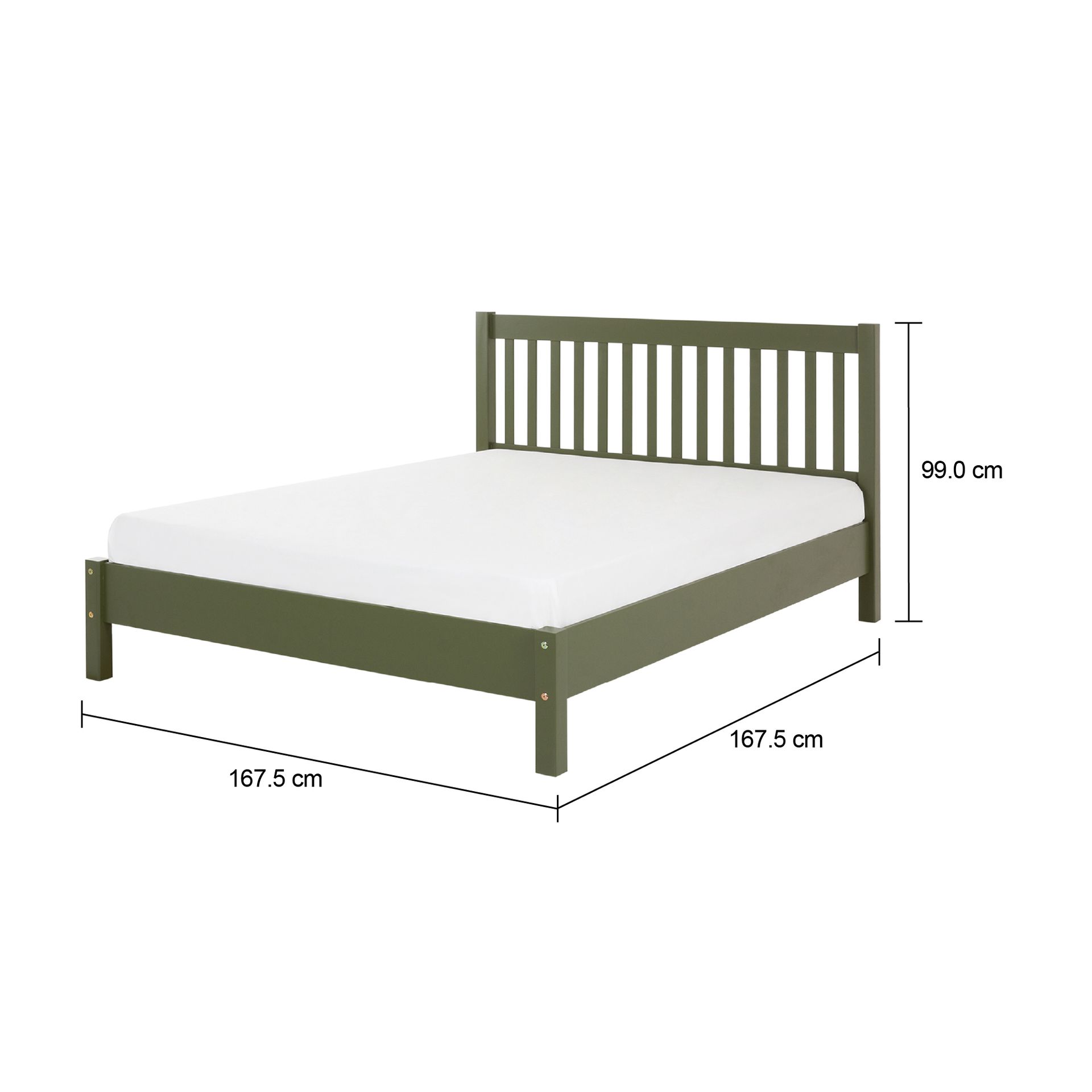 CAMA-QUEEN-158-M-MUSGO-MELBOUR_MED