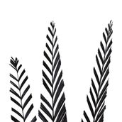 IMPERIAL-FOLHAGEM-C-3-PRETO-PALMEIRA-IMPERIAL_ST2