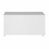 BAU-75-CM-X-40-CM-BRANCO-WINK_ST15