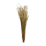 FLOR FOLHAGEM CONGONHA