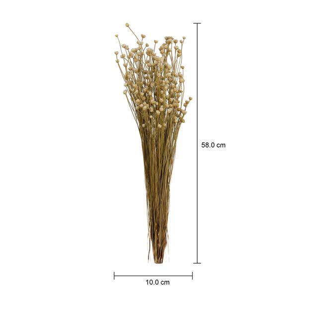 FLOR-FOLHAGEM-FIBRA-CLARA-CONGONHA_MED0