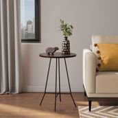 MESA-LATERAL-ALTA-REDONDA-45-CM-PRETO-NOZES-R-STICO-JAHARI_353478_AMB0