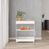 CARRINHO-C-PRATELEIRA-63-CM-X-45-CM-BRANCO-PALETE_379777_AMB0