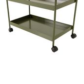 CARRINHO-73-CM-X-38-CM-MUSGO-OLLE_ST4