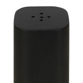 SALEIRO-PIMENTEIRO-PRETO-BETHAL_ST2