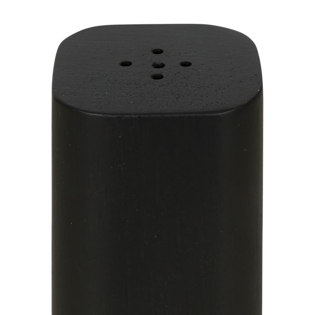 SALEIRO-PIMENTEIRO-PRETO-BETHAL_ST2