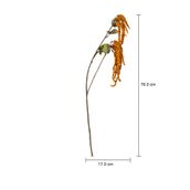 FLOR-ZAFFRON-VERDE-FALL_MED0
