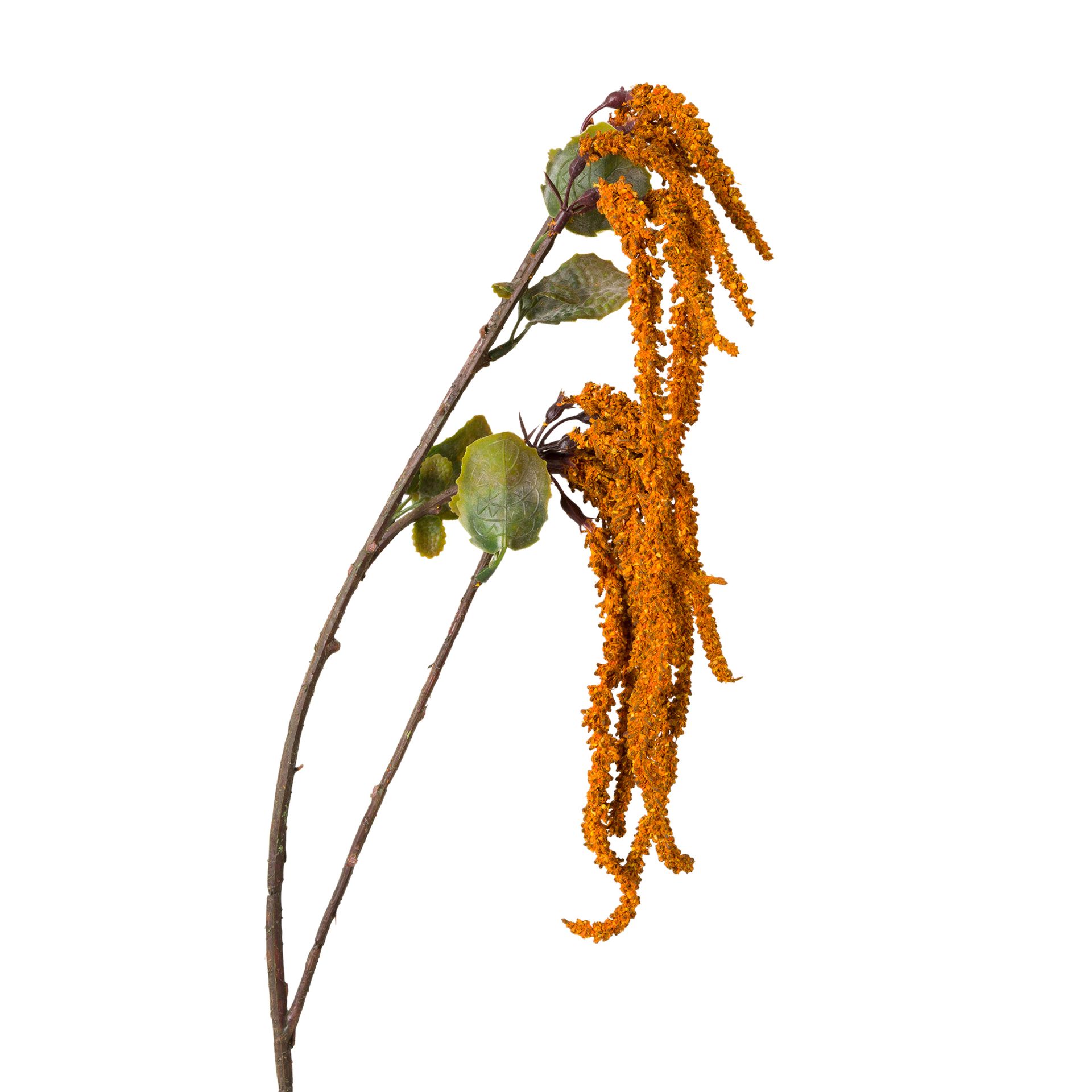 FLOR-ZAFFRON-VERDE-FALL_ST1