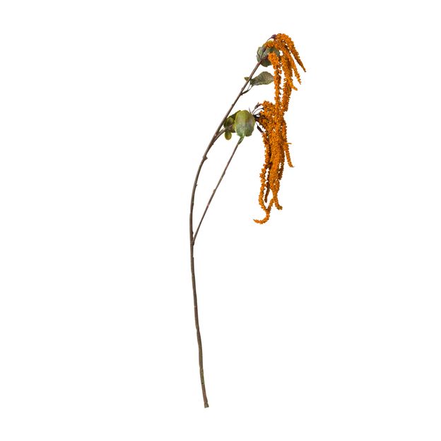 FLOR-ZAFFRON-VERDE-FALL_ST0