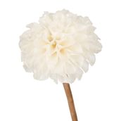 DE-PEIXE-FLOR-DALIA-FIBRA-CLARA-ESCAMA-DE-PEIXE_ST4