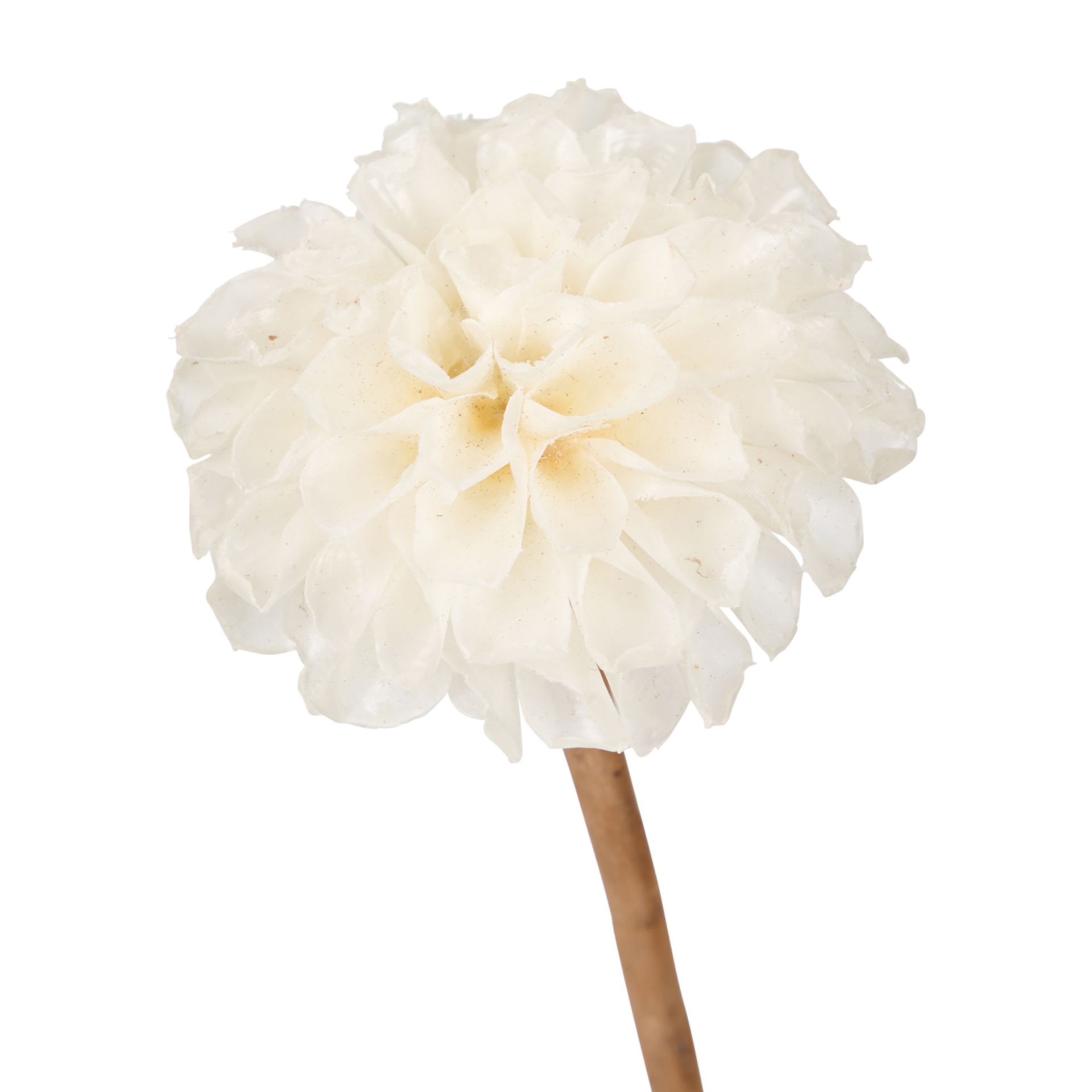 DE-PEIXE-FLOR-DALIA-FIBRA-CLARA-ESCAMA-DE-PEIXE_ST4