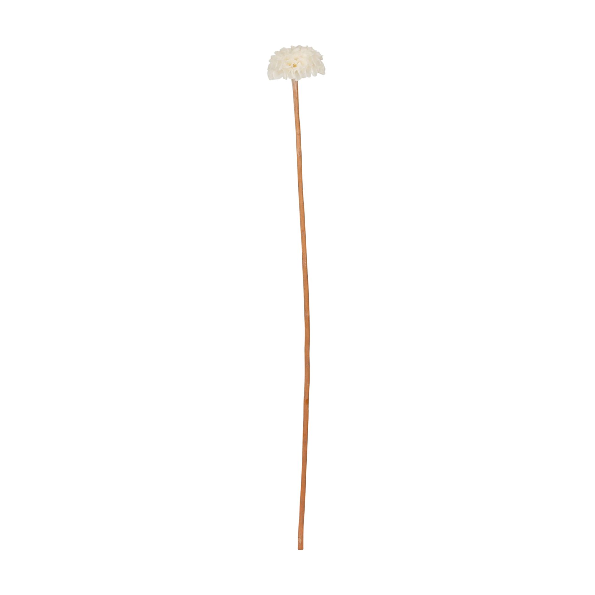 DE-PEIXE-FLOR-DALIA-FIBRA-CLARA-ESCAMA-DE-PEIXE_ST0