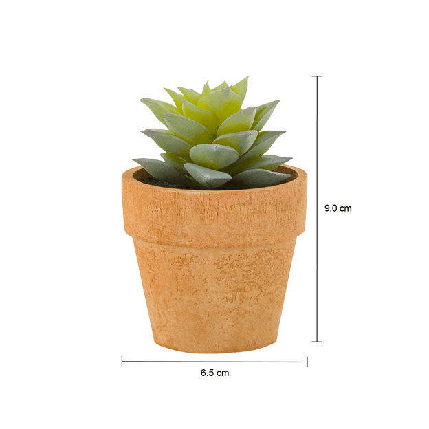 TERRA-SUCULENTA-SEDUM-MINIARRANJO-VERDE-TERRACOTA-DA-TERRA_MED0