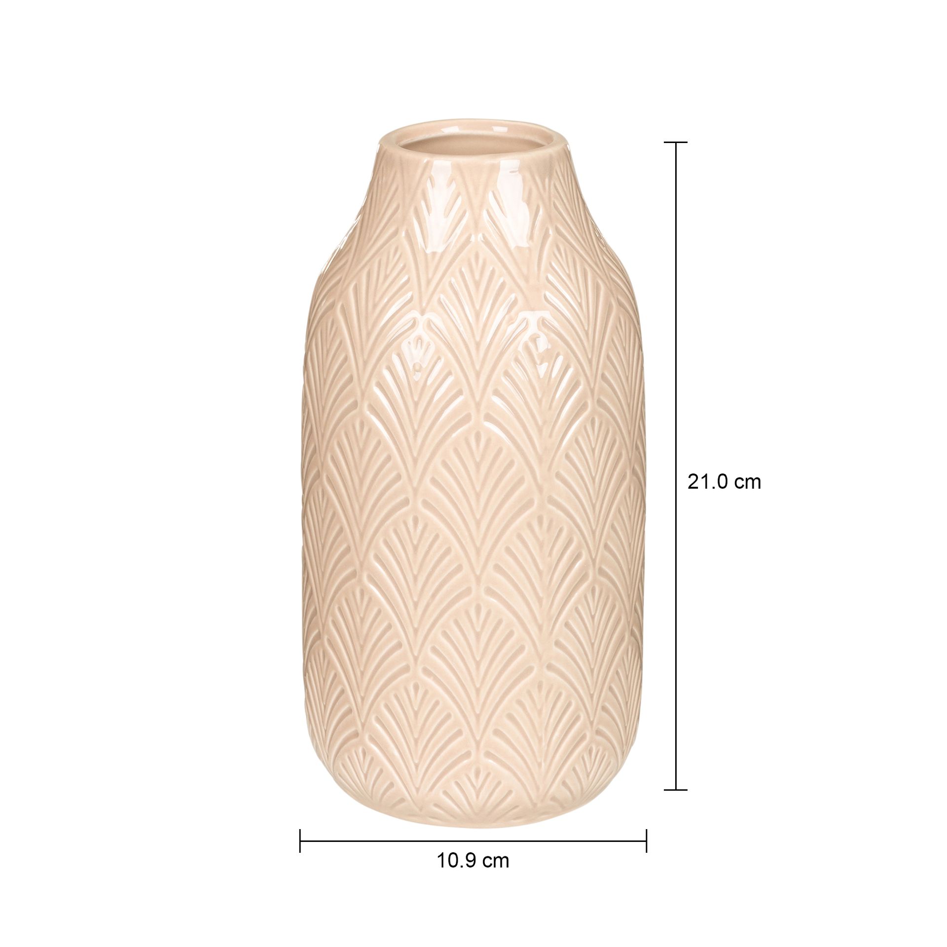 VASO-21-CM-AREIA-MOHOLY_MED0