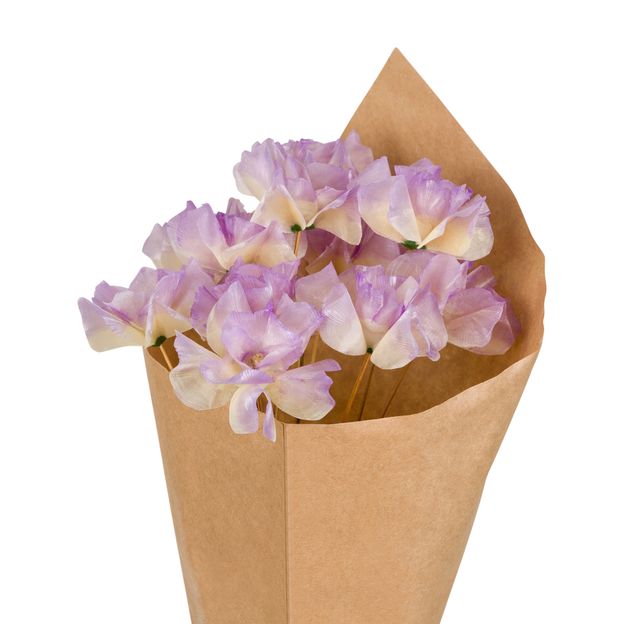 DE-PEIXE-FLOR-LIL-S-ESCAMA-DE-PEIXE_ST2