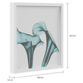 RAIO-X-II-QUADRO-30-CM-X-30-CM-BRANCO-TURMALINA-FLORES-RAIO-X_MED0