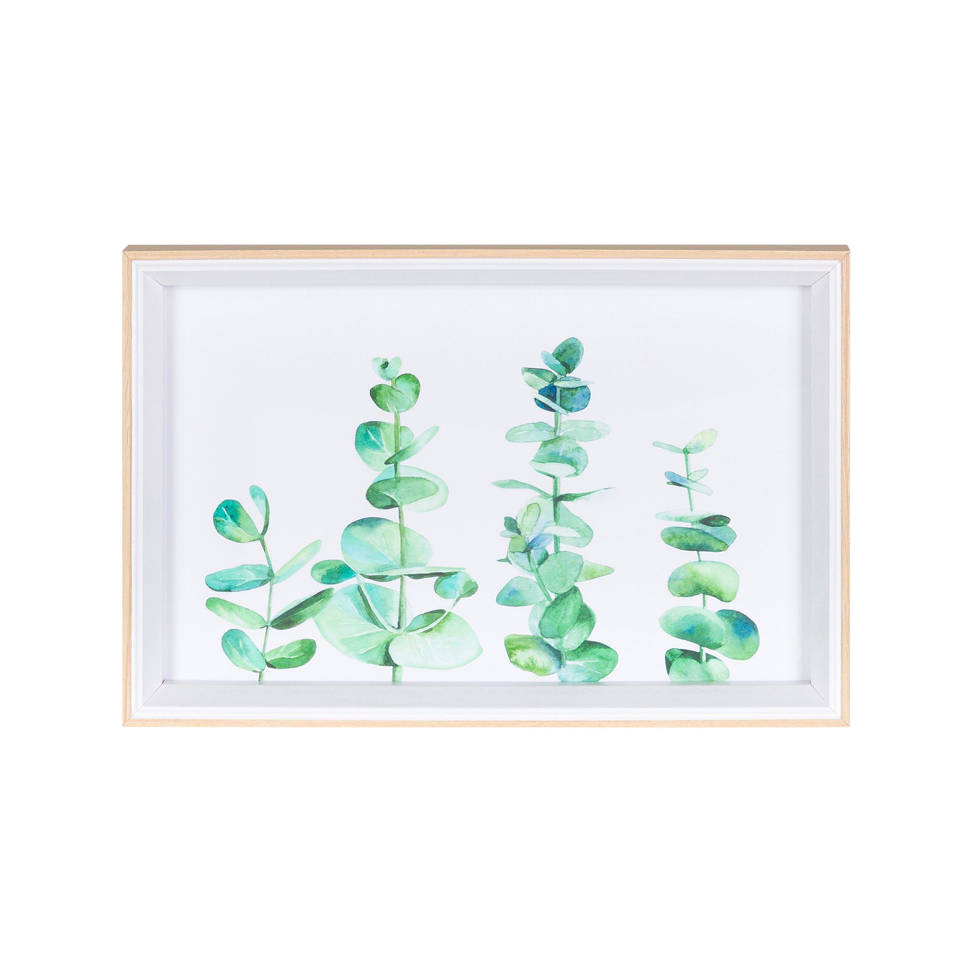 PLANTAE-QUADRO-30-CM-X-20-CM-PINUS-NATURAL-VERDE-AQUARELA_ST0
