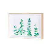 PLANTAE-QUADRO-30-CM-X-20-CM-PINUS-NATURAL-VERDE-AQUARELA_ST1