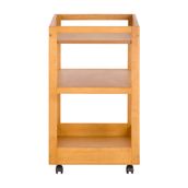 CARRINHO-C-PRATELEIRA-63-CM-X-45-CM-AM-NDOA-PALETE_ST2