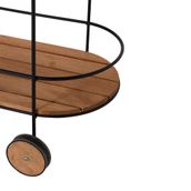 CARRINHO-FLOREIRA-74-CM-X-38-CM-PRETO-EUCALIPTO-SOW_ST4