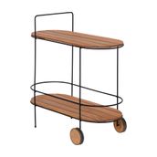 CARRINHO-FLOREIRA-74-CM-X-38-CM-PRETO-EUCALIPTO-SOW_ST1