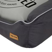 CAMA-PARA-PET-P-KONKRET-CINZA-ST-DIO_ST3