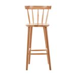 CAJUEIRO JAPONÊS - BANCO ALTO SKAND