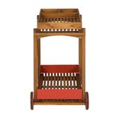 CARRINHO-84-CM-X-48-CM-BARU-FERRUGEM-BROM-LIA_ST2