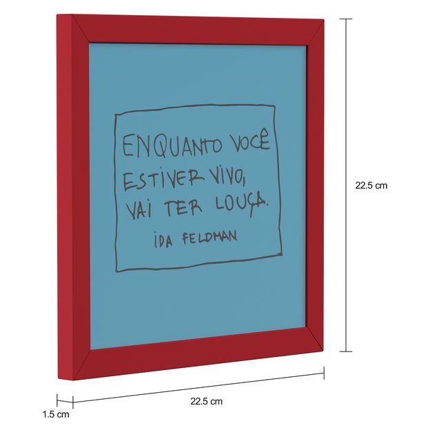 VAI-TER-LOUCA-QUADRO-22-CM-X-22-CM-AZUL-CLARO-VERMELHO-REFLEX-ES-DA-IDA-FELDMAN_MED0