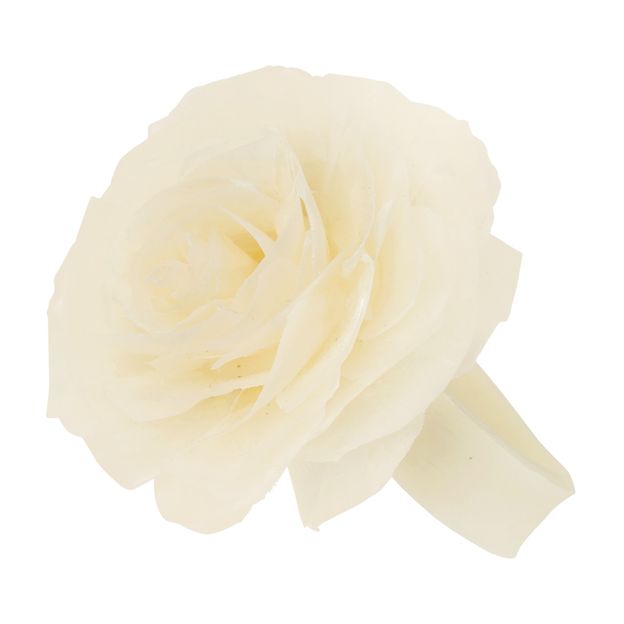 DE-PEIXE-ARGOLA-GUARDANAPO-C-2-FIBRA-NATURAL-NATURAL-ESCAMA-DE-PEIXE_ST1