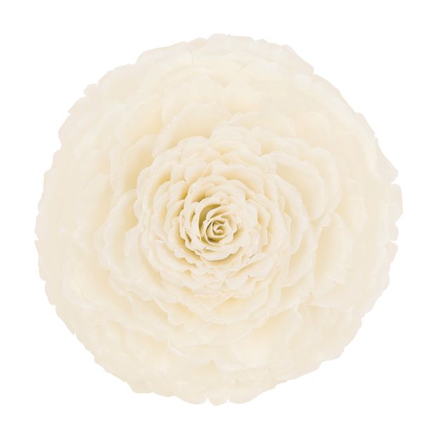 DE-PEIXE-ROSA-ADORNO-20-CM-BRANCO-FIBRA-CLARA-ESCAMA-DE-PEIXE_ST0