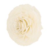 DE-PEIXE-ROSA-ADORNO-20-CM-BRANCO-FIBRA-CLARA-ESCAMA-DE-PEIXE_ST1