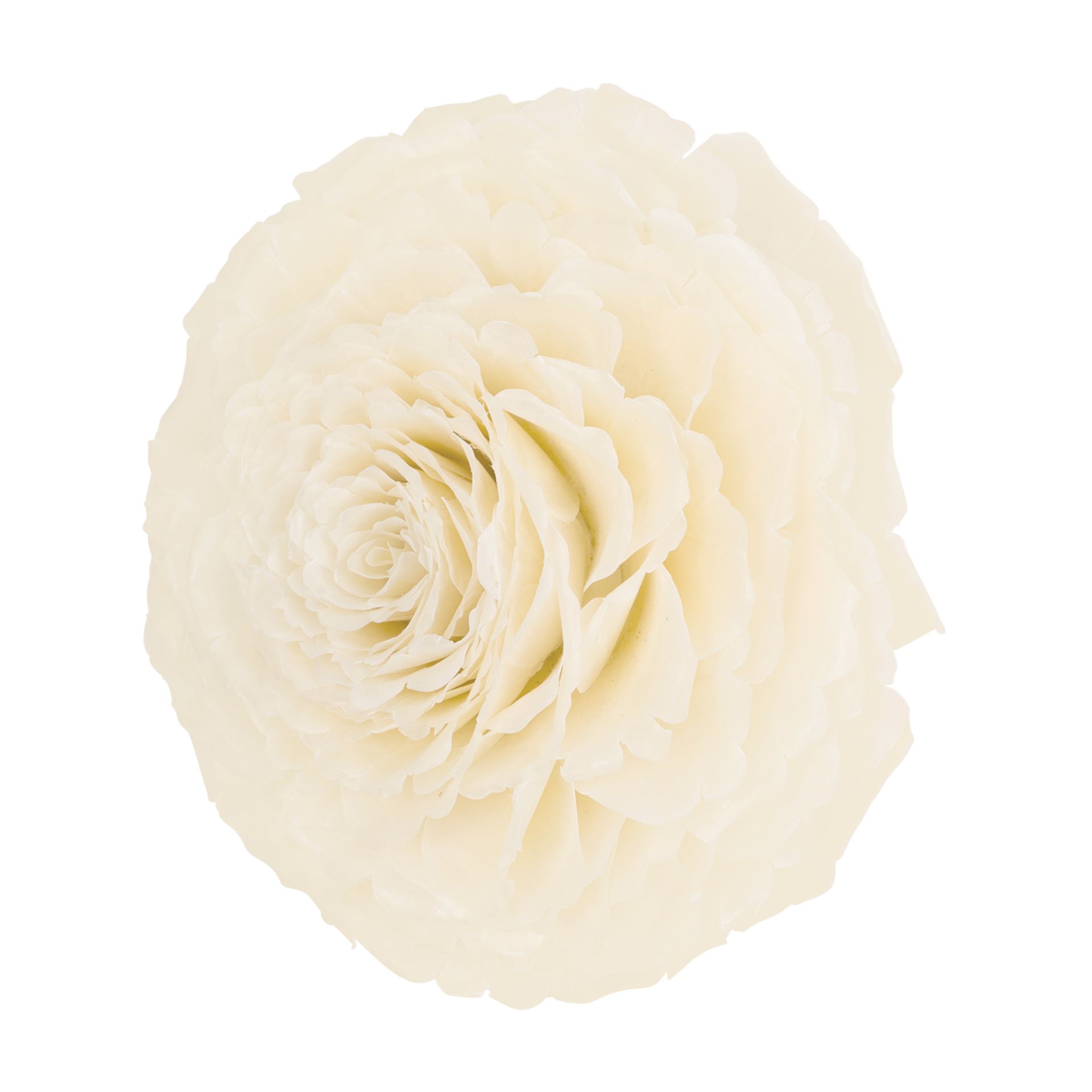 DE-PEIXE-ROSA-ADORNO-20-CM-BRANCO-FIBRA-CLARA-ESCAMA-DE-PEIXE_ST1